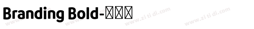Branding Bold字体转换